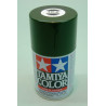 TS- 2 Enamel Spray Dark Green (100cc)