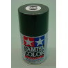 TS- 4 Enamel Spray German Grey (100cc)