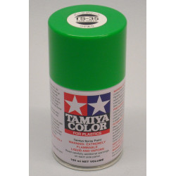 TS-35 Enamel Spray Park Green (100cc)