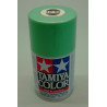 TS-60 Enamel Spray Pearl Green (100cc)