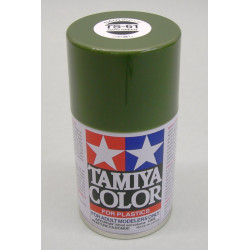 TS-61 Enamel Spray NATO Green (100cc)