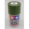 TS-61 Enamel Spray NATO Green (100cc)