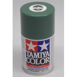 TS-78 Enamel Spray Field Gray (100cc)