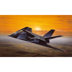 Lockheed-Martin F-117 Nighthawk 1/72