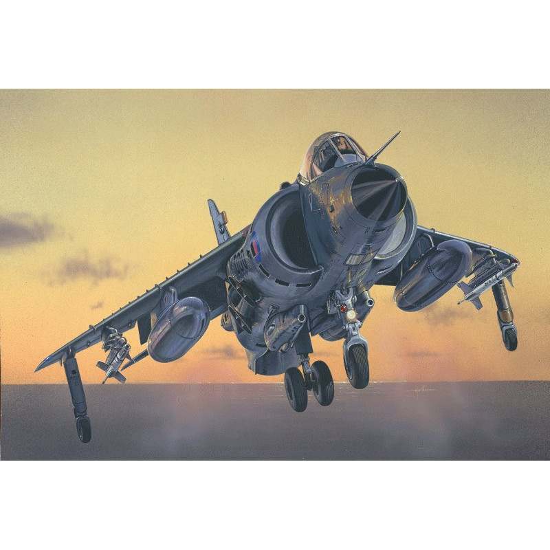 BAe Sea Harrier FRS.1 1/72