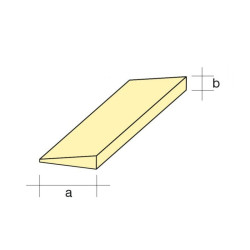 Balsa - Bordo di Uscita Simmetrico mm. 20 x  5 x 1000